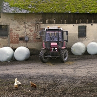 Na tom načem dvoře...