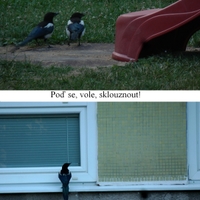 Včera jsem tak trošku zaspal, tak to dneska doháním 1