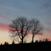 Lednová večerní I.