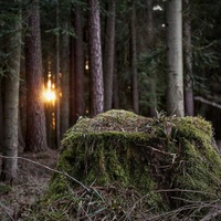 Vidím v dálce světýlko