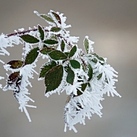 Mrazíkovo tvoření