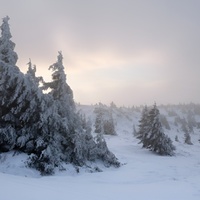 Z Červené hory (Jeseníky)