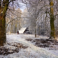 Čerstvě nasněženo