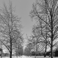 Zima nekončí . . .