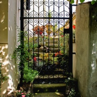 Zahradní zátiší s brankou