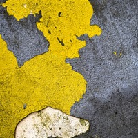 čarodějka na sněžném skůtru