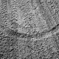 divočina na cestě 27