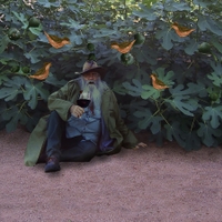 ♫ .-. . -. ... .-. ♫