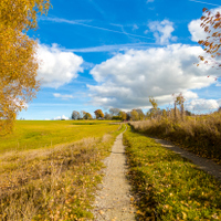 Vzpomínka na sluníčko 