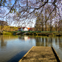 Klid u rybníku, Bohdaneč 