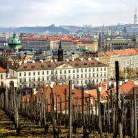 Když vinice odpočívají 