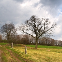 Polňačkou do kopců