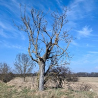 Na Dolních loukách