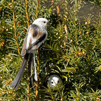 Už bydlíme .... skoro ... 1