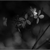 střípky loňského léta