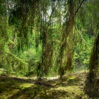 ...pod závojem u břidlicového jezírka....