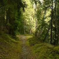 ...tady jsem ráda...Český Ráj