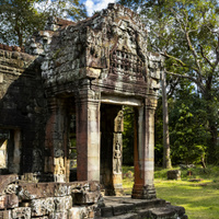 V angkorské džungli