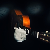 Vášnivý hudobník