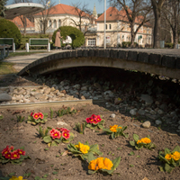 Kúpele Piešťany  