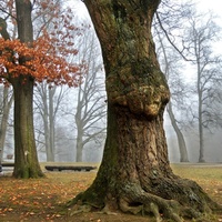 Troll v našem parku 