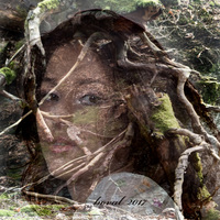 nestárboucí portrét 323