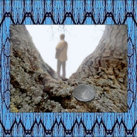 Jedna koruna česká