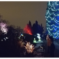 Křišťálová zahrada