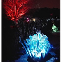 Křišťálová zahrada