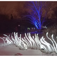 Křišťálová zahrada