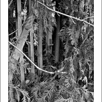 hlavně neneápadně- tajný vchod