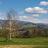 Jarní