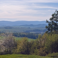 jaro na Kelberku