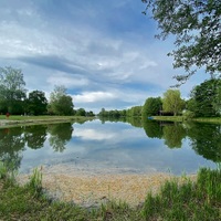 Rybník