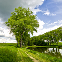 Stromořadí 