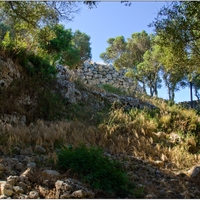 Trepuco 2