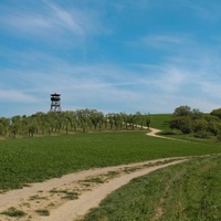 Mandloňové sady II