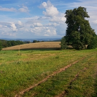 Po hřebenu kopce