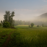 Ranní
