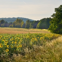 Kolem   řeky