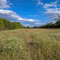 Červencová