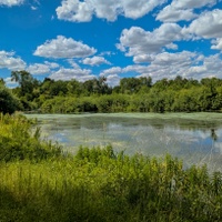 Hozloky