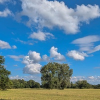 Pod letní oblohou