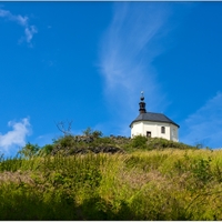 Vyskeř