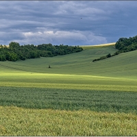zelené vlny
