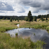 Šumava