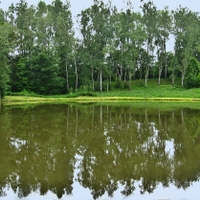 U vody IV