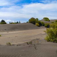 Palmira