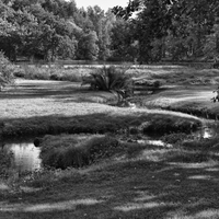 ...zámecký park Štiřín...(2)