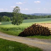 Cesta k samotě